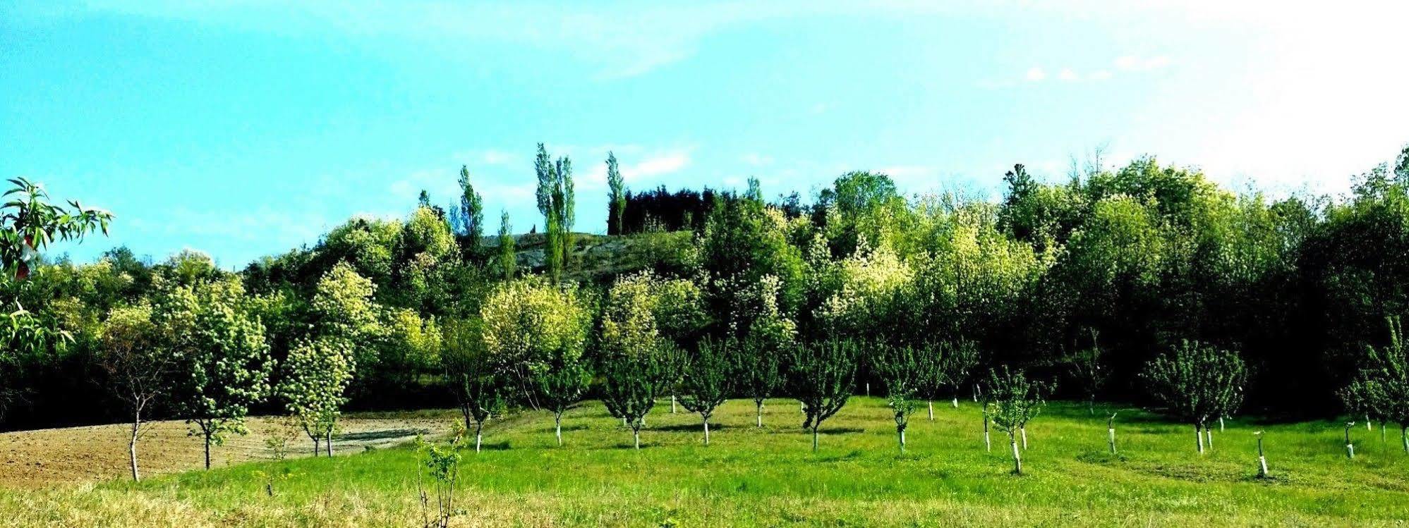 Tenuta Valdorso - Agri Resort Montechiaro D'acqui Dış mekan fotoğraf
