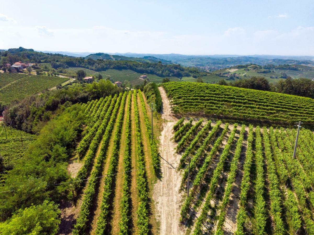 Tenuta Valdorso - Agri Resort Montechiaro D'acqui Dış mekan fotoğraf